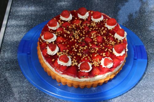 Erdbeertorte 500